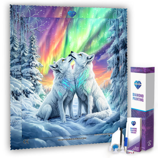 Diamond Painting - Aurora Arktis