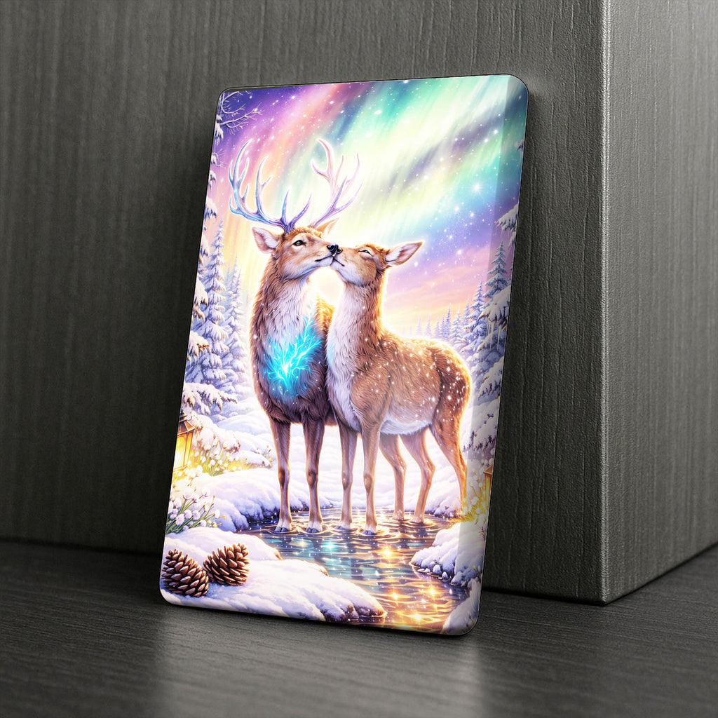 Cover Minder – Polarlicht der Ewigkeit