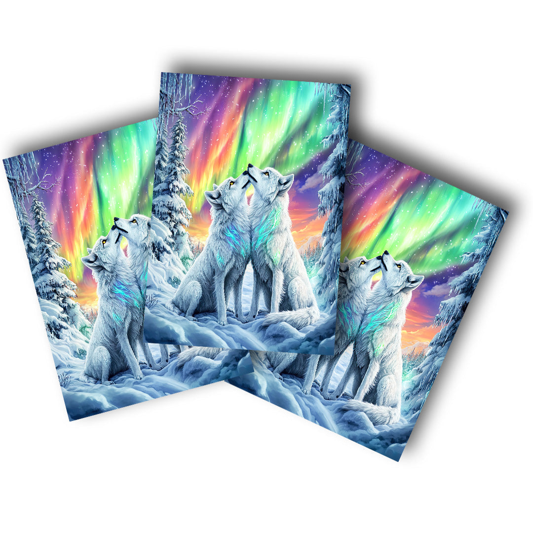 Sticker – Aurora Arktis
